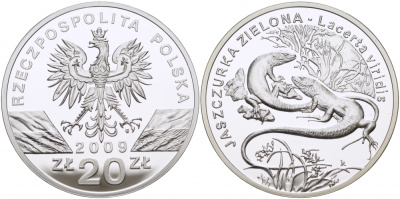 Польша 20 злотых 2009 серия сохраним наш мир, зеленая ящерица KM 679 серебро PROOF 1077-10-32